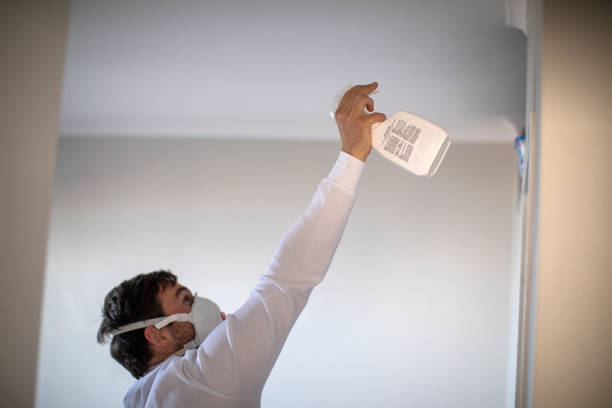 Best Mold Testing and Inspection Services in Lake Darby, OH