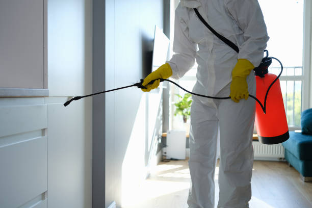 Best HVAC Mold Remediation in Lake Darby, OH