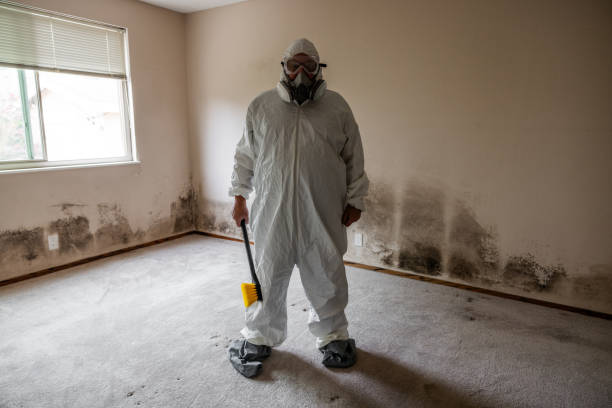 Reliable Lake Darby, OH Mold Remediation Solutions